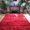 Red Rug Large Moroccan Berber Carpet Vintage Handwoven1970ies Lareg Area Rug in Plain Red No Design Large Square Shape 215x270cm