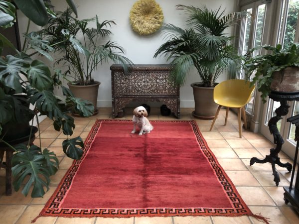 Red Plain Greek Key Bordered Moroccan Vintage Rug 170x260cm