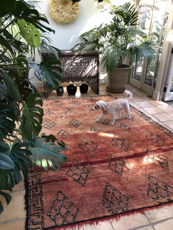 burgundy moroccan berber rug large area rug 200x300cm vintage midcentury handwoven carpet